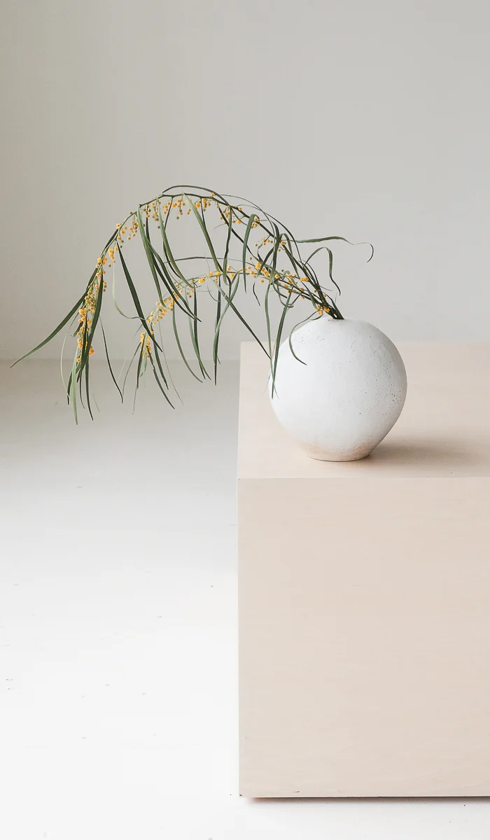 Clair Catillaz White Weed Vessel - Image 9