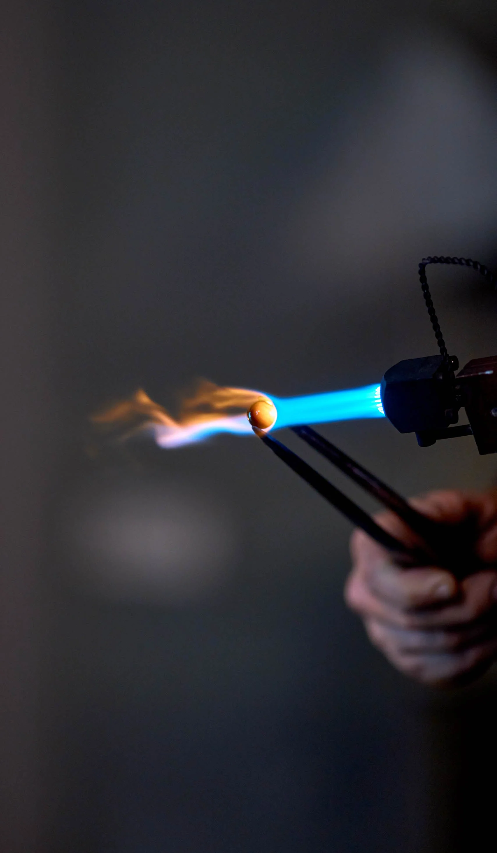 In Common With Medium Blown Glass Gemma Sconce - Image 12