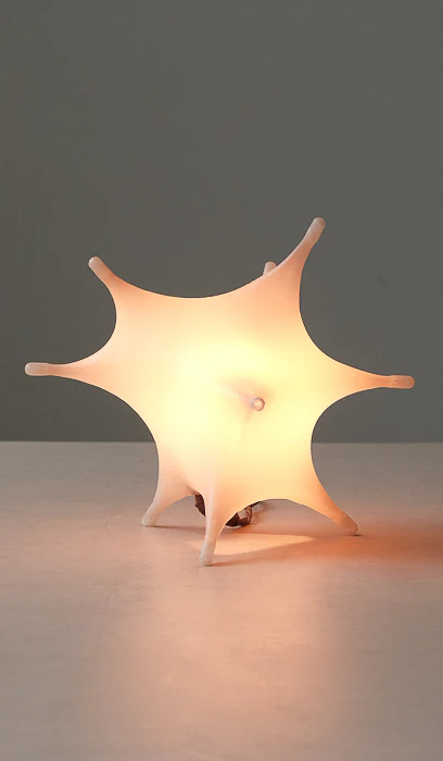James Cherry Aster Table Lamp - Image 3