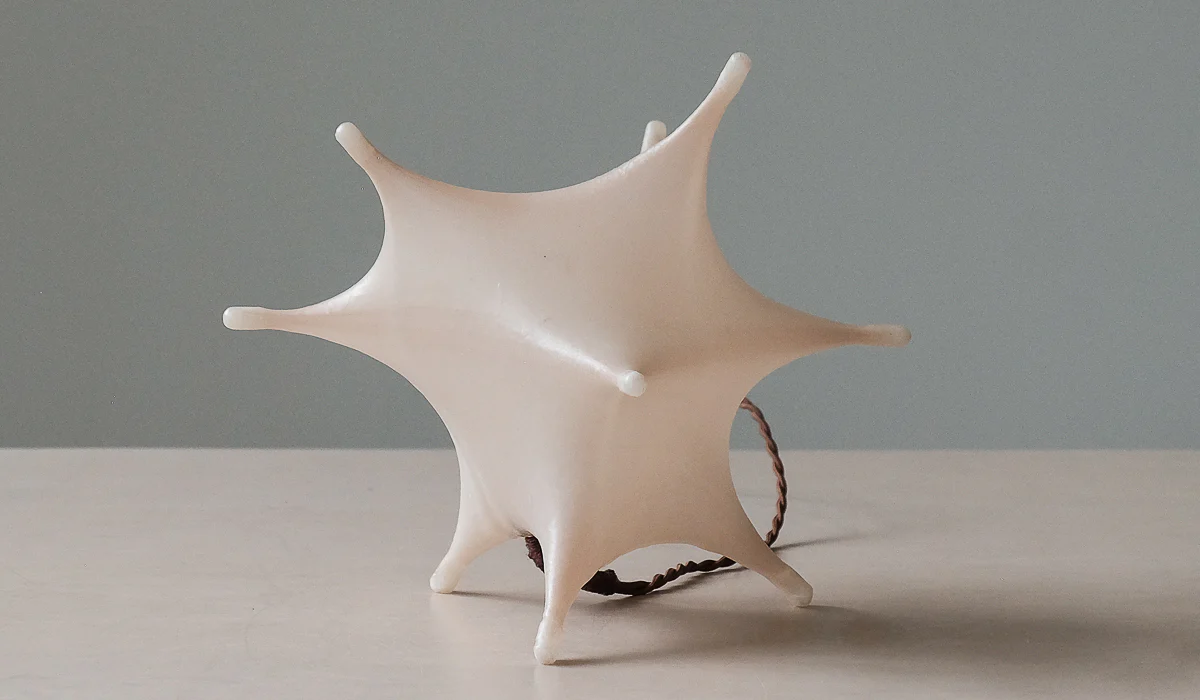 James Cherry Aster Table Lamp - Image 4