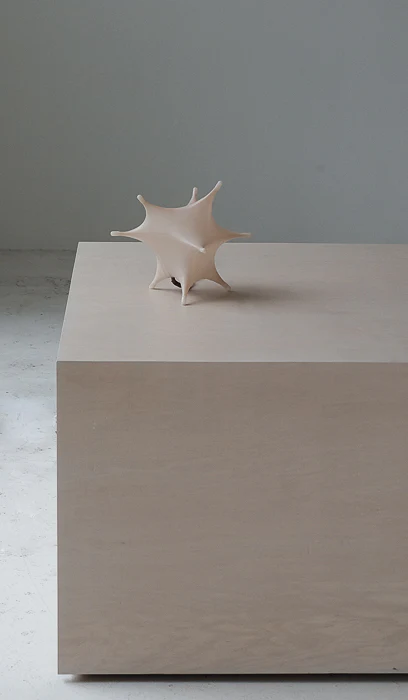 James Cherry Aster Table Lamp - Image 5