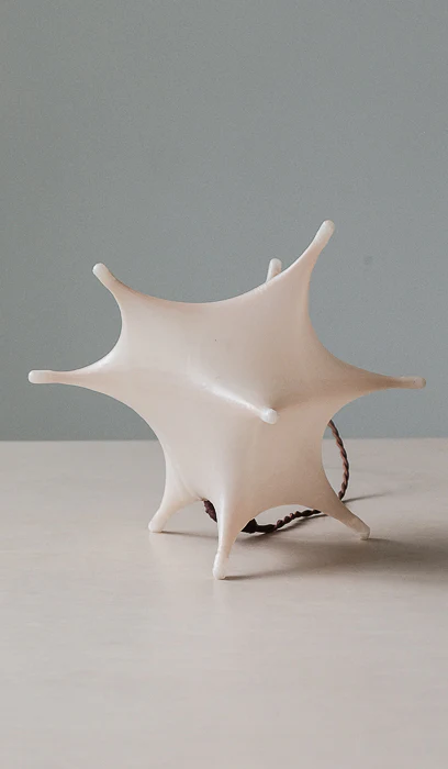 James Cherry Aster Table Lamp - Image 6