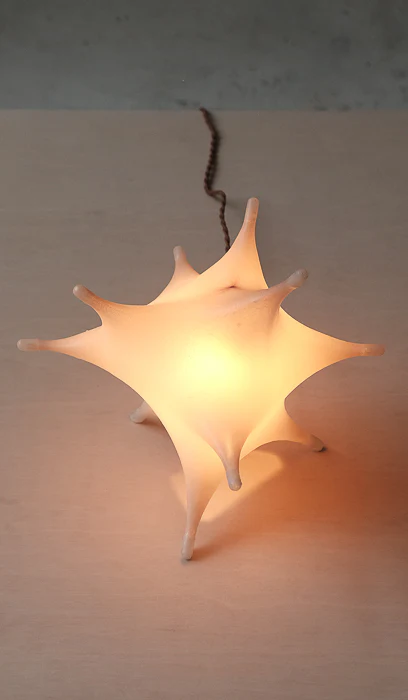 James Cherry Aster Table Lamp - Image 8