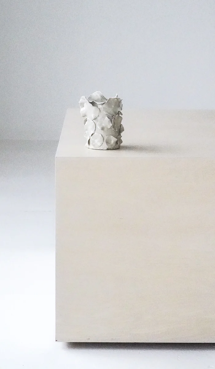Nathalee Paolinelli White Petal Vase No. 13 - Image 8