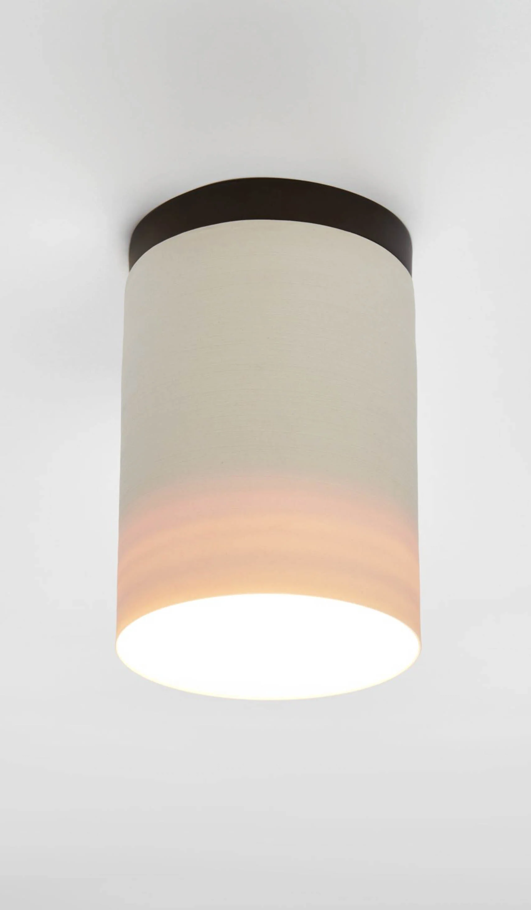 Roll & Hill Surface Ceiling Mount - Image 3