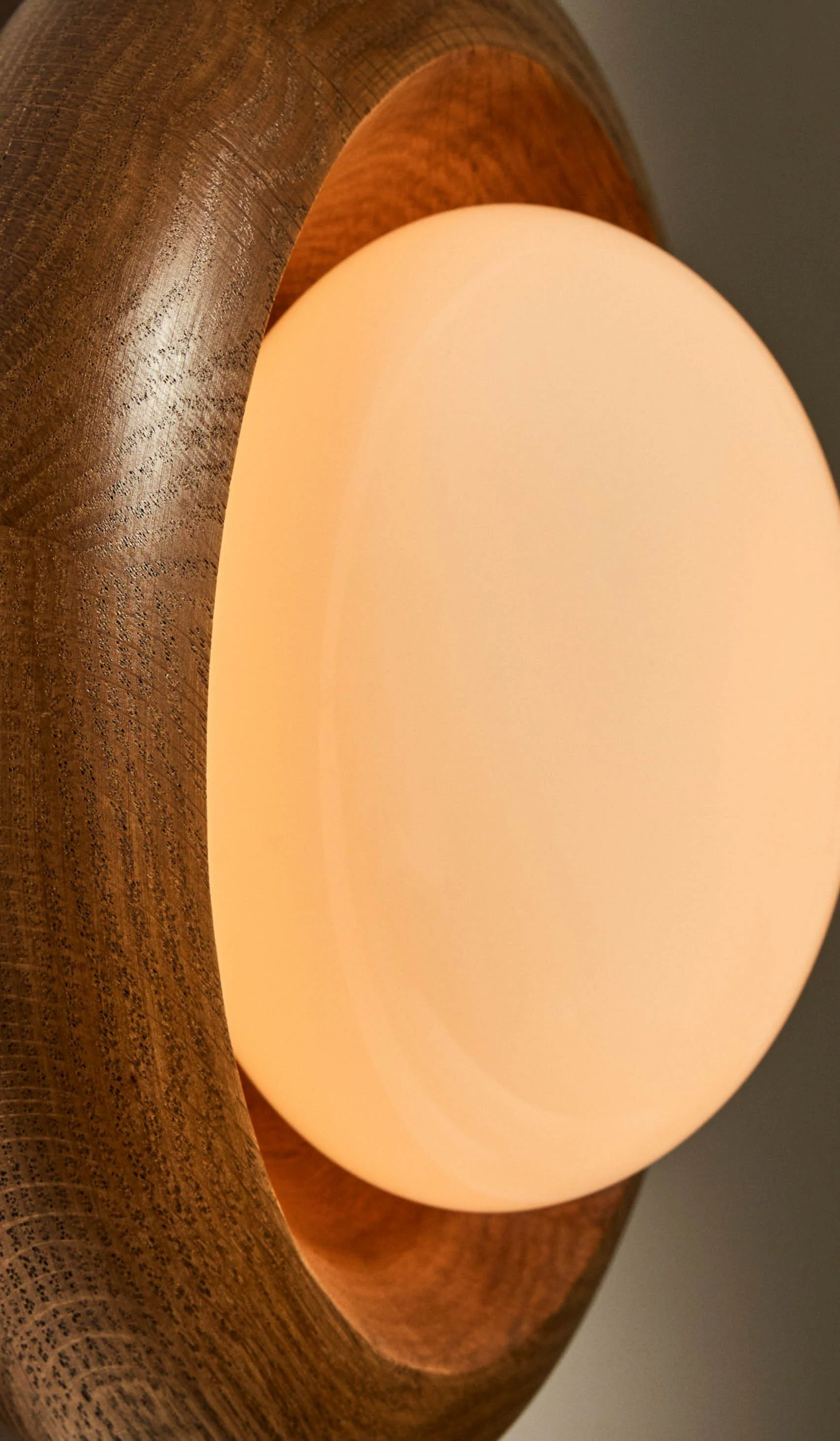 Roll & Hill Wood Humboldt 01 Sconce - Image 5